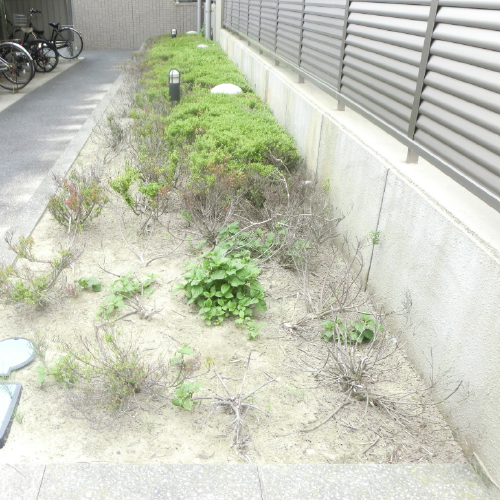 シャトレ愛松緑ヶ丘 大規模修繕工事の工事前