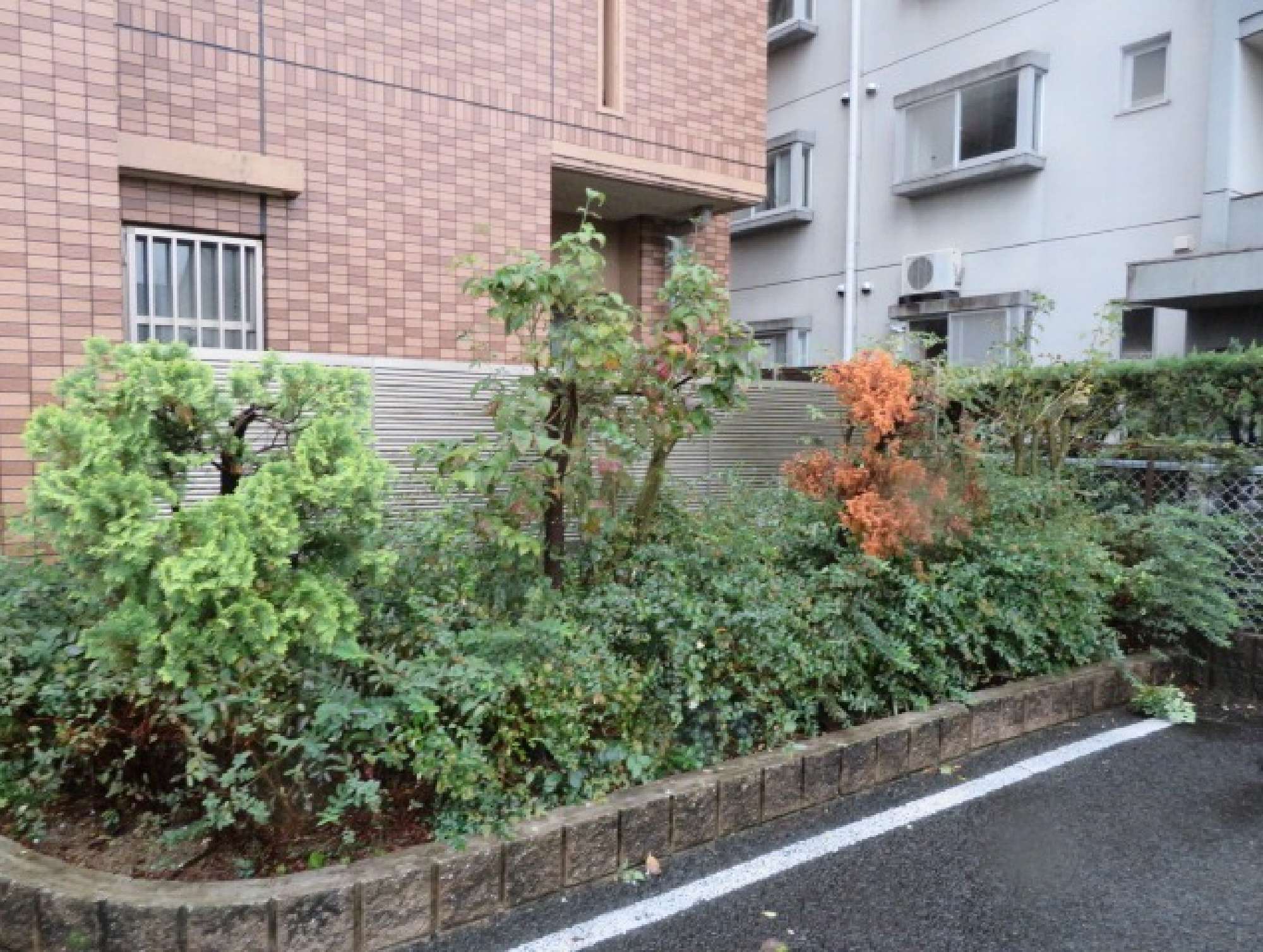 ロフティ春日井Ⅱ　植栽　工事前